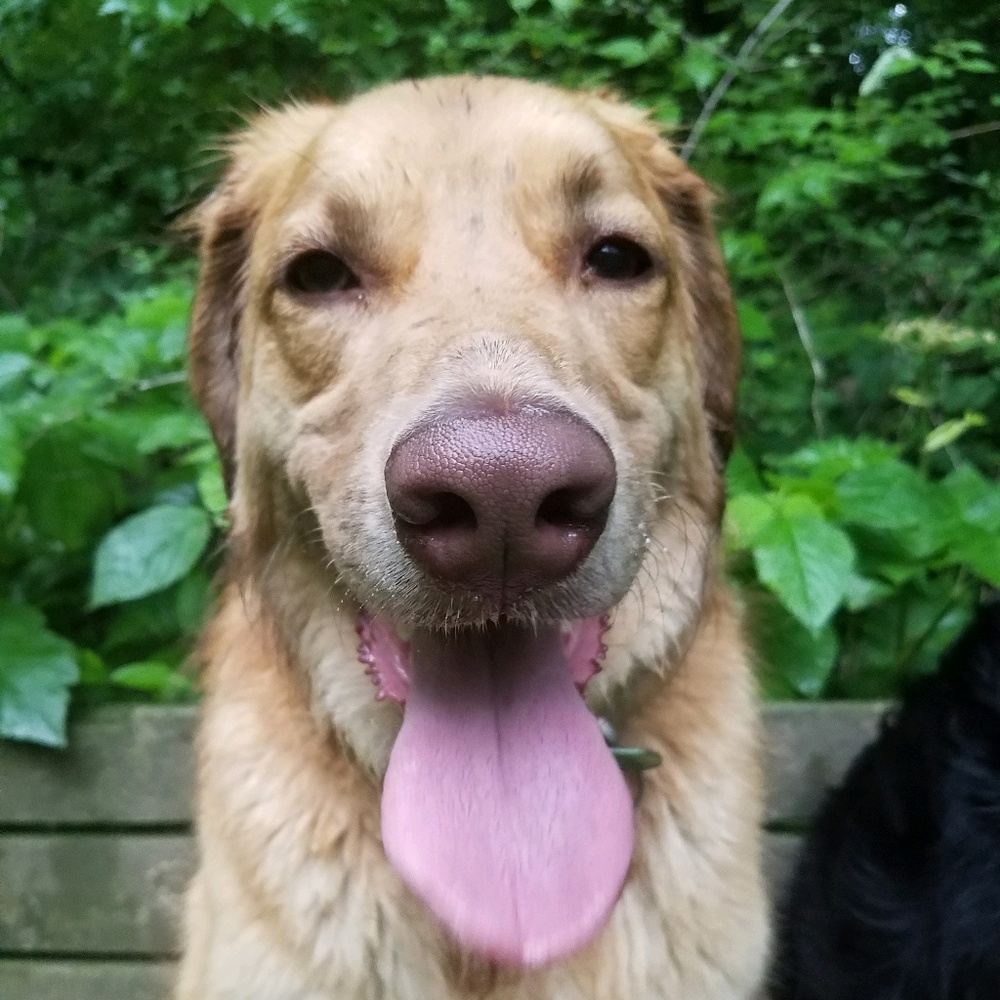 Meet your Posher, Leilani